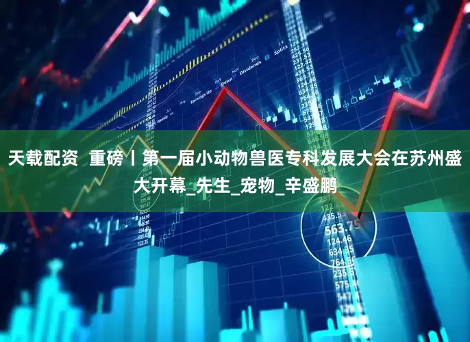 天载配资  重磅丨第一届小动物兽医专科发展大会在苏州盛大开幕_先生_宠物_辛盛鹏